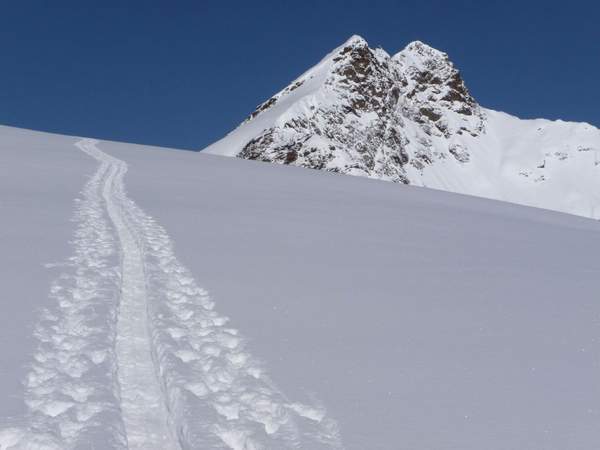 Skitourwoche in der Silvretta