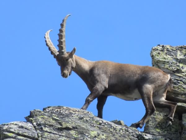3000er Gipfel im Val d'Ayas