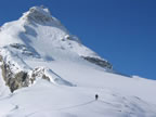 Skitour Gran-Paradiso - Benevolo