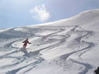 Skitour Gran-Paradiso - Benevolo