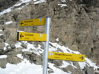Gran-Paradiso - Aosta-Tal