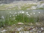 Trekking Gran-Paradiso - Alta-Via Glaciale