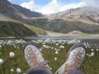 Trekking Gran-Paradiso - Alta-Via Glaciale