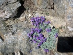 Trekking Gran-Paradiso - Alta-Via Glaciale